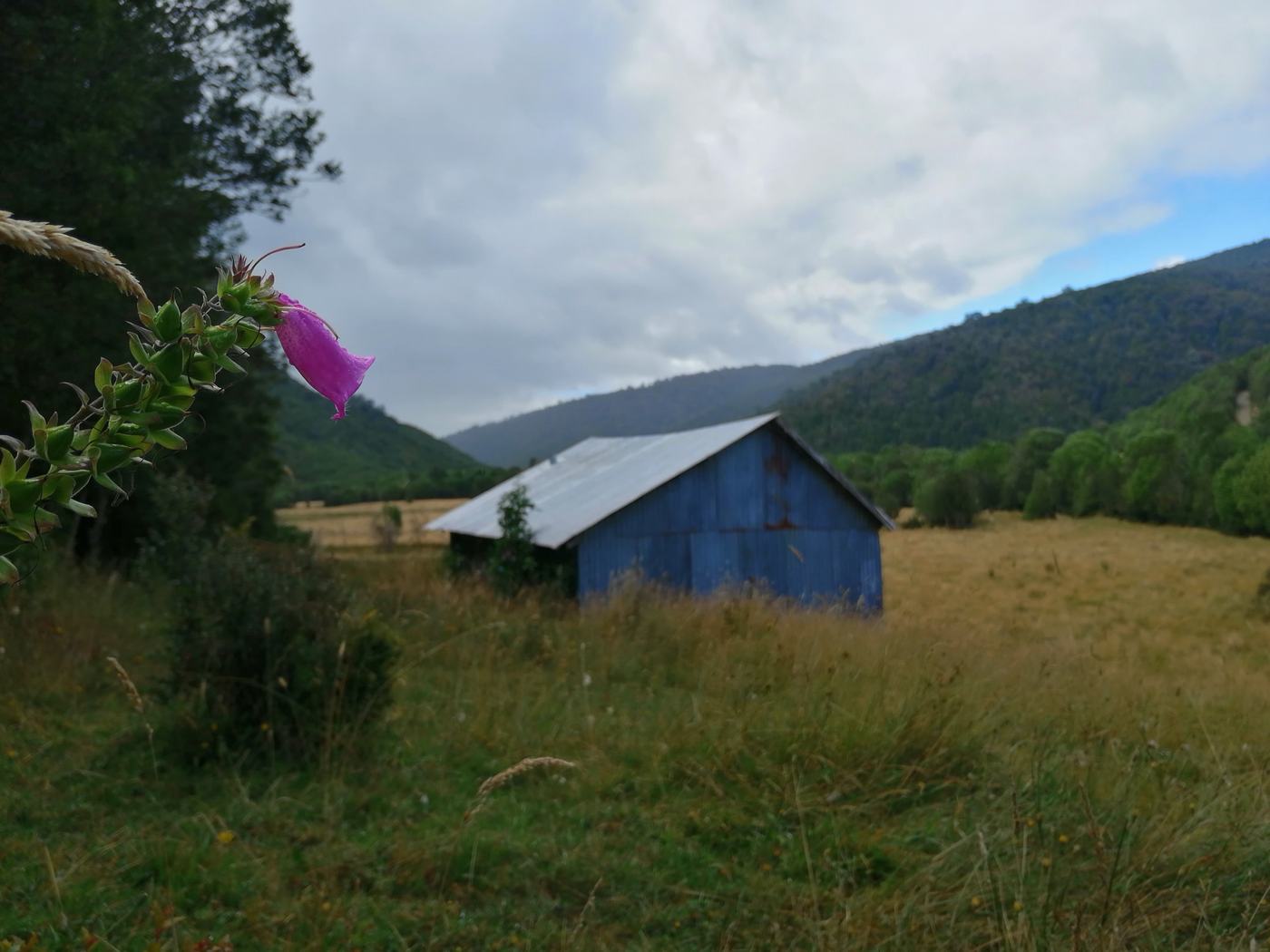 Terreno Refugio Chiloé
